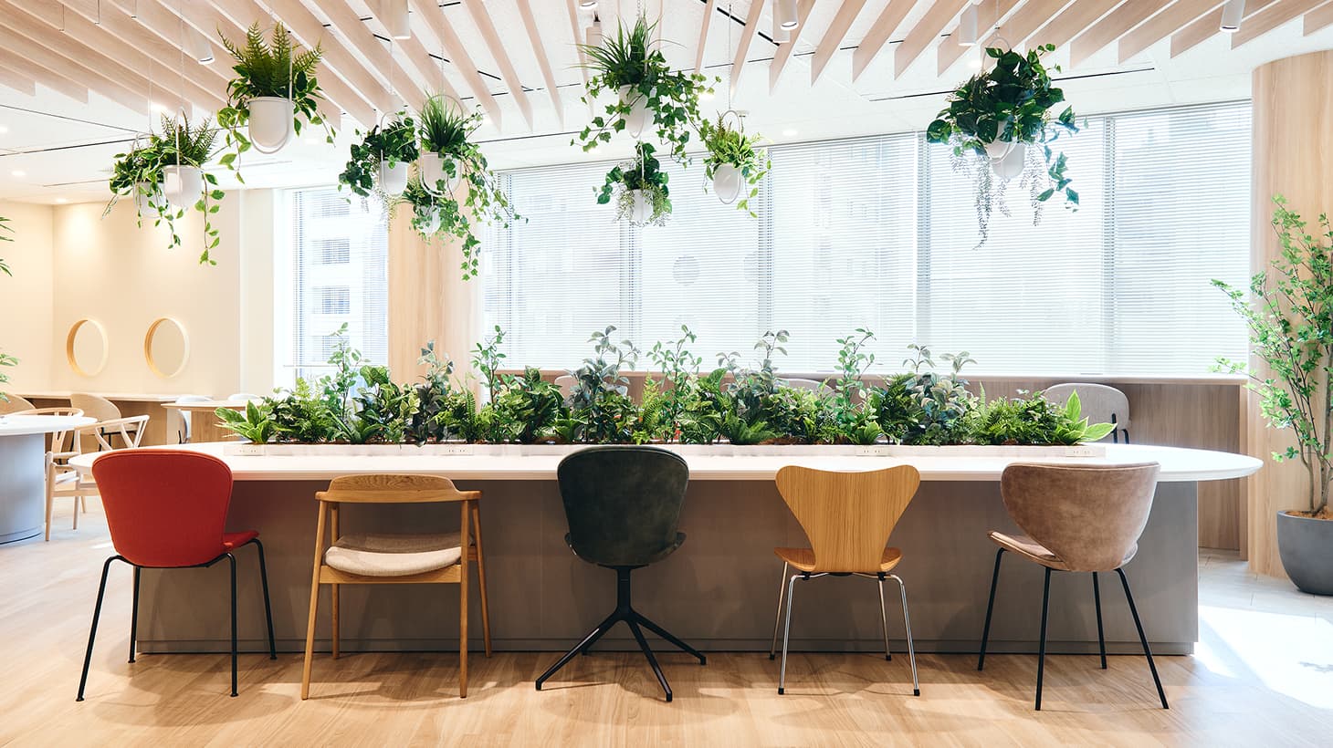 アクティブゾーン 01