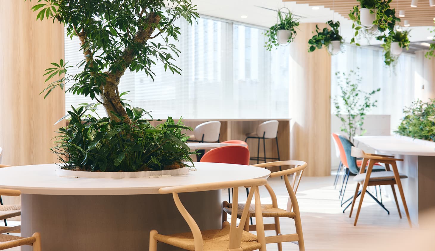 アクティブゾーン 02